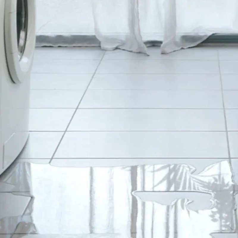Appliance Leak Cleanup in Palm Springs, FL