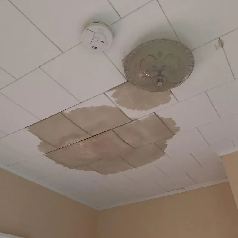 Ceiling Water Damage Repair in Palm Springs, FL
